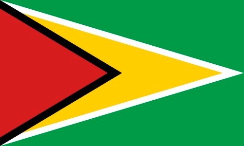 500px-Flag_of_Guyana.svg.png