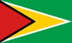 500px-Flag_of_Guyana.svg.png